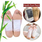 MicroNest Kinoki Detox Foot Patch with Adhesive Sheets | Natural Herbal Foot & Body Detox Patches for Relaxation & Deep Sleep | 20 Foot Patches + 20 Adhesive Sheets
