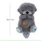 Teddy Bear Sound Toy with Light and Music for Kids Stuffed Animal Plush Toys 1-5 Years Boys Girls Birthday Gift
